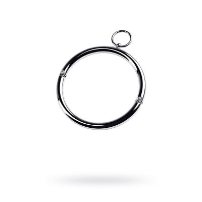 Ошейник TOYFA Metal с кольцом, металл, серебряный