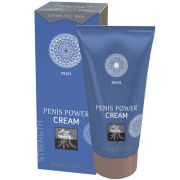 Возбуждающий крем для мужчин Penis Power Cream - 30 мл.